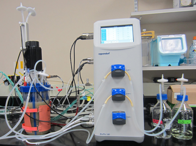 BioBLU 3f pracujący z kontrolerem Eppendorf BioFlo 120
