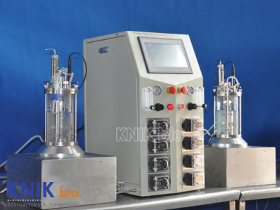 KNIKBIO XG Parallel Glass Bioreactor 2–12×