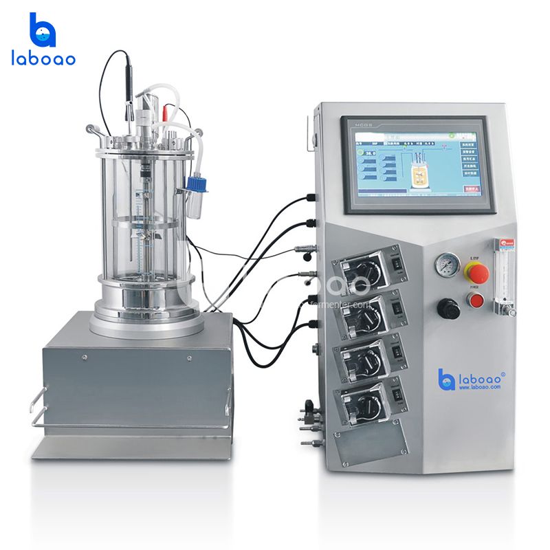 LABOAO XGC/XGJ Off-site Glass Bioreactor — widok 1 z materiałów producenta (800×800).