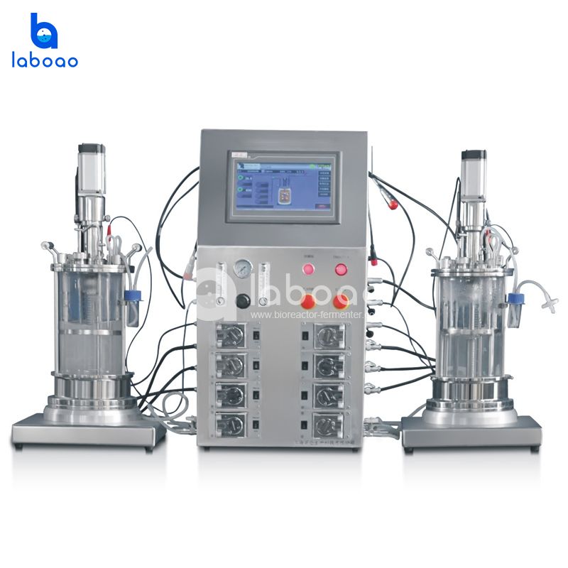 LABOAO Parallel Glass Bioreactor 2×