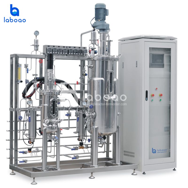 LABOAO Secondary/Tertiary Stainless Fermentation System