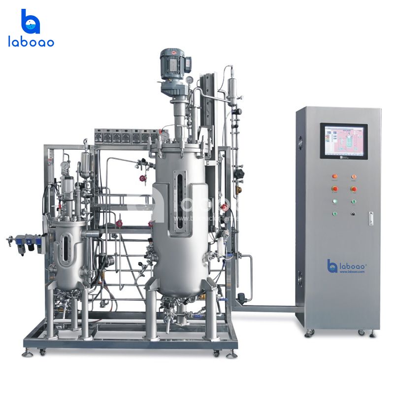 LABOAO Secondary/Tertiary Stainless Fermentation System — widok 2 z materiałów producenta (800×800).
