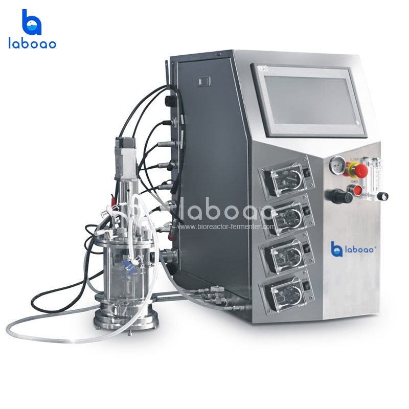 LABOAO HYG Shaker-type Mini Bioreactor — widok 3 z materiałów producenta (800×800).