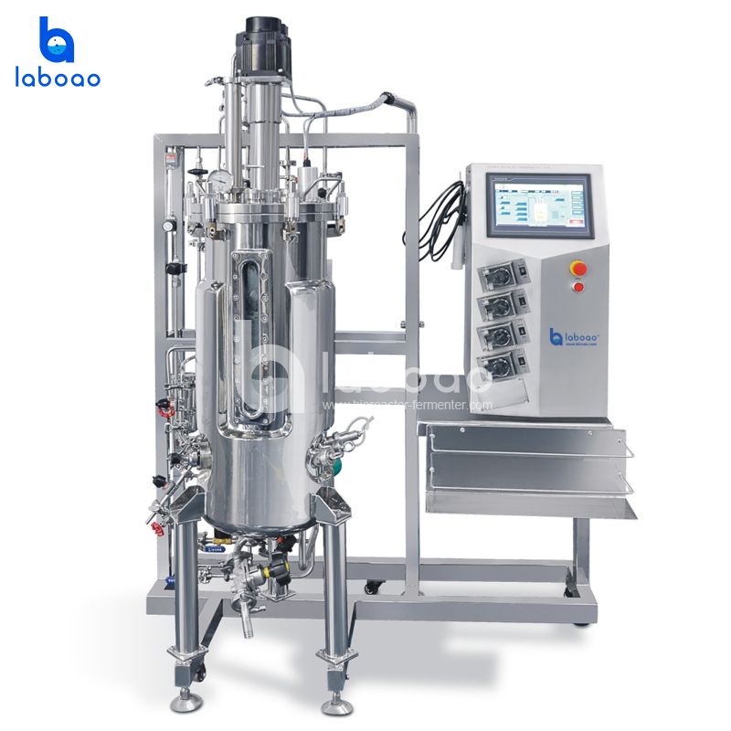 LABOAO XSJ/SJA/SJB Stainless Mechanical Bioreactor — widok 2 z materiałów producenta (800×800).