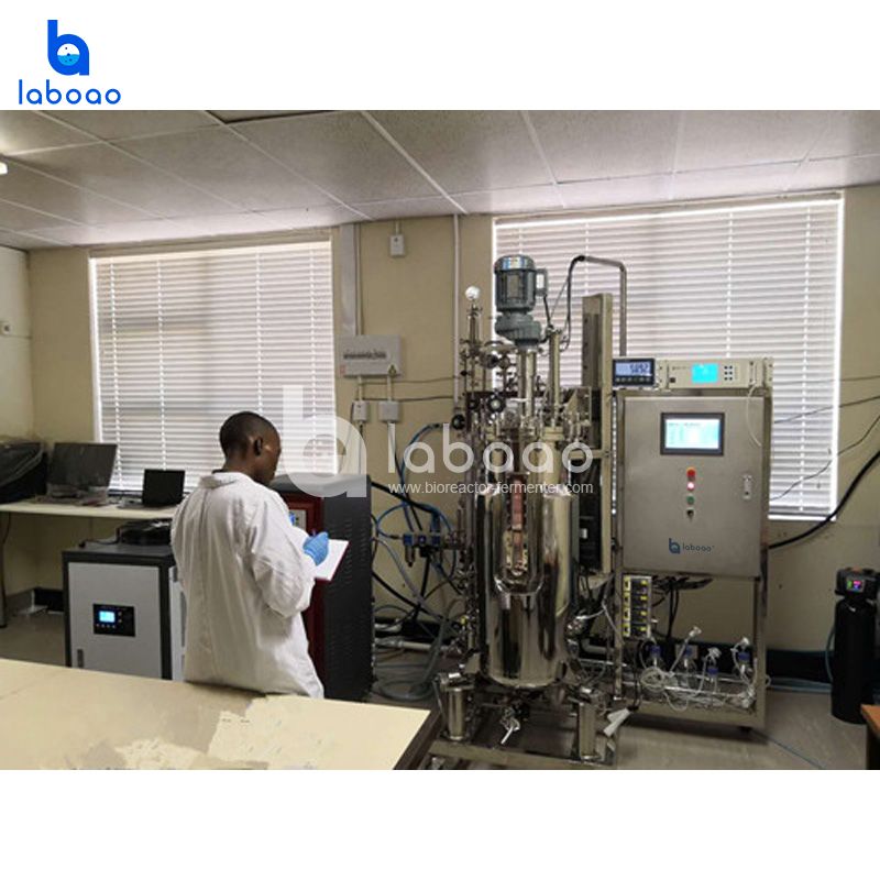 LABOAO FMT Metabolic Flow Bioreactor
