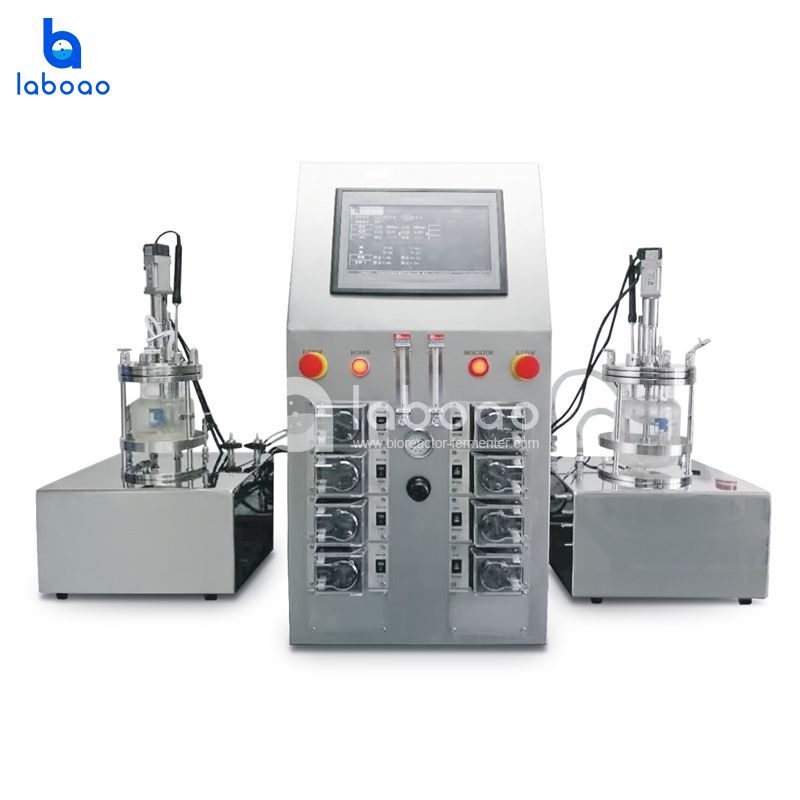 LABOAO Parallel Glass Bioreactor 2× — widok 2 z materiałów producenta (800×800).