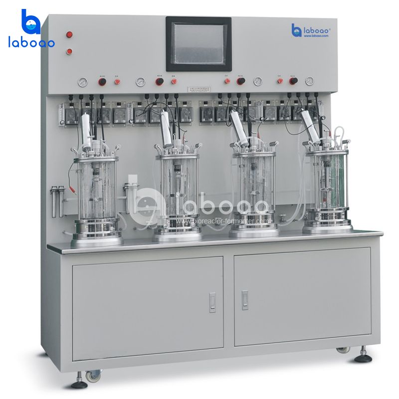 LABOAO Parallel Glass Bioreactor 4× — widok 1 z materiałów producenta (800×800).