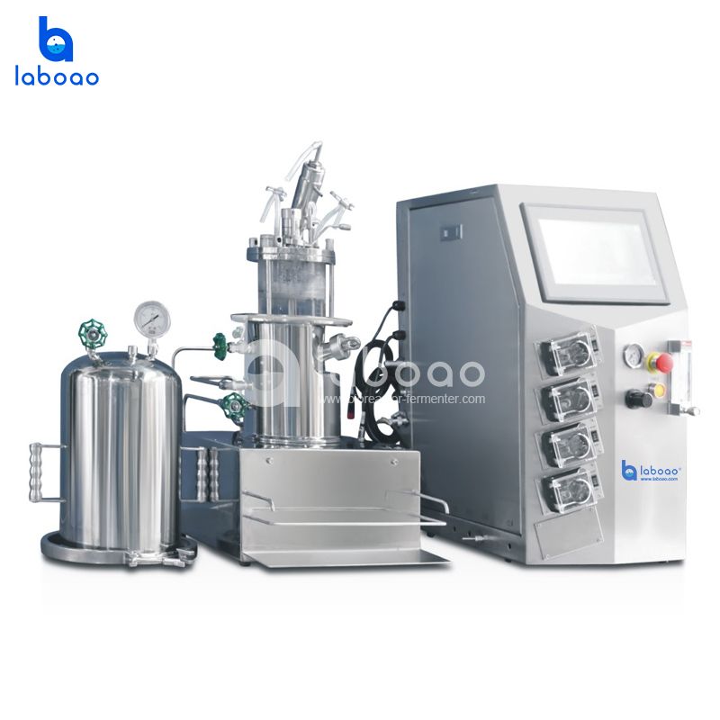 LABOAO XGCA/XGJA Benchtop In-situ Glass Bioreactor — widok 1 z materiałów producenta (800×800).