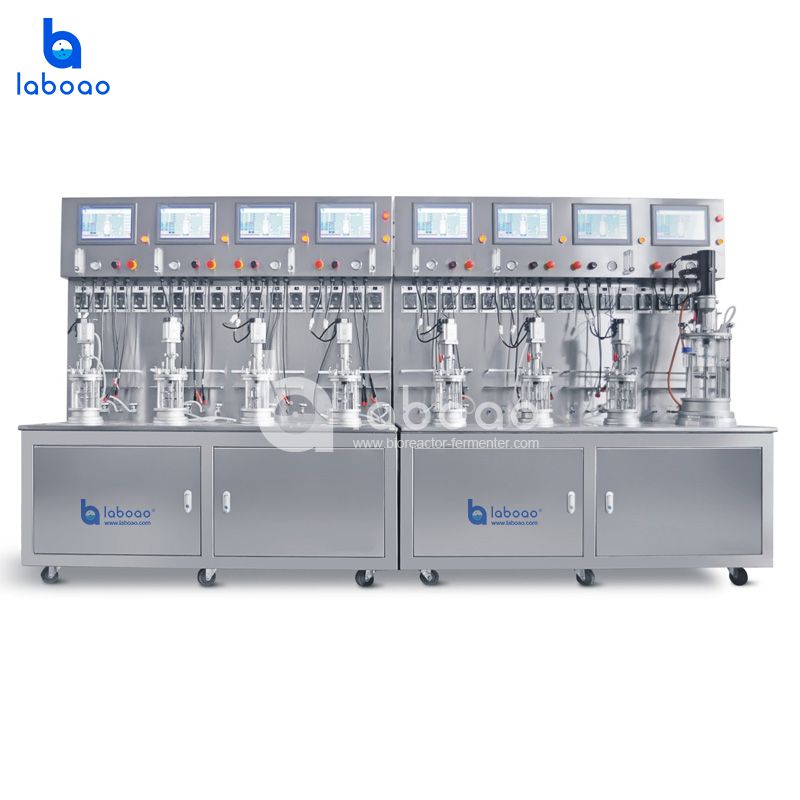 LABOAO Parallel Glass Bioreactor 6–12× — widok 3 z materiałów producenta (800×800).