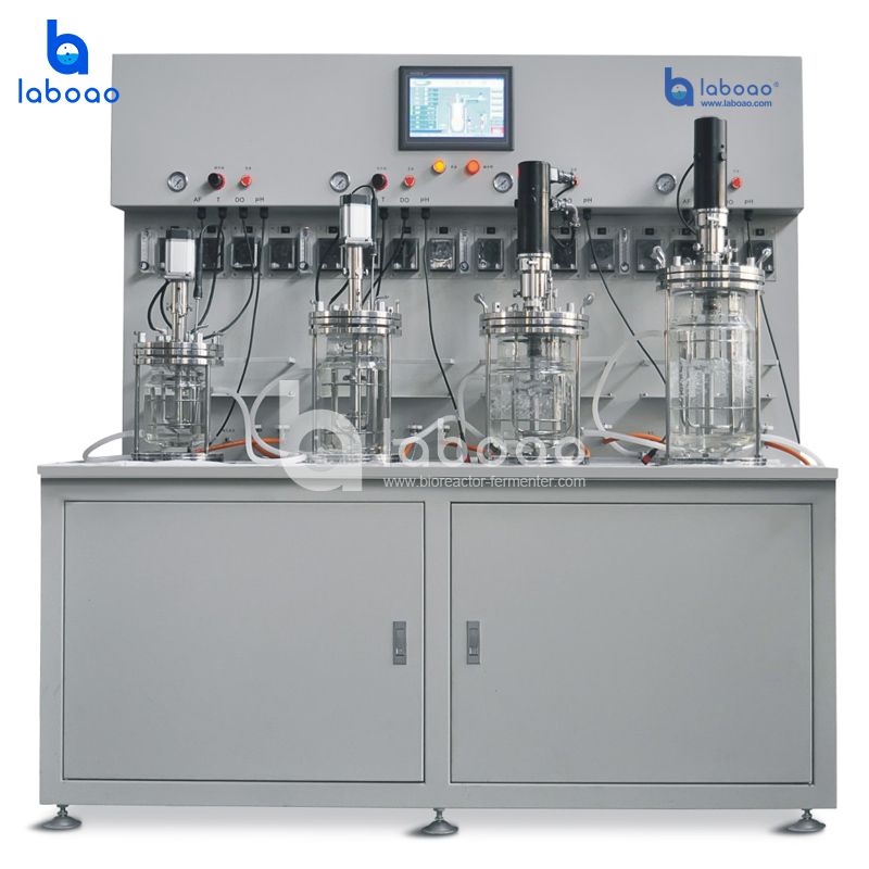 LABOAO Parallel Glass Bioreactor 4× — widok 2 z materiałów producenta (800×800).