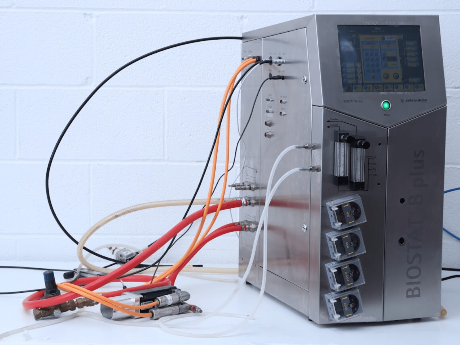 primary-biostat-bplus