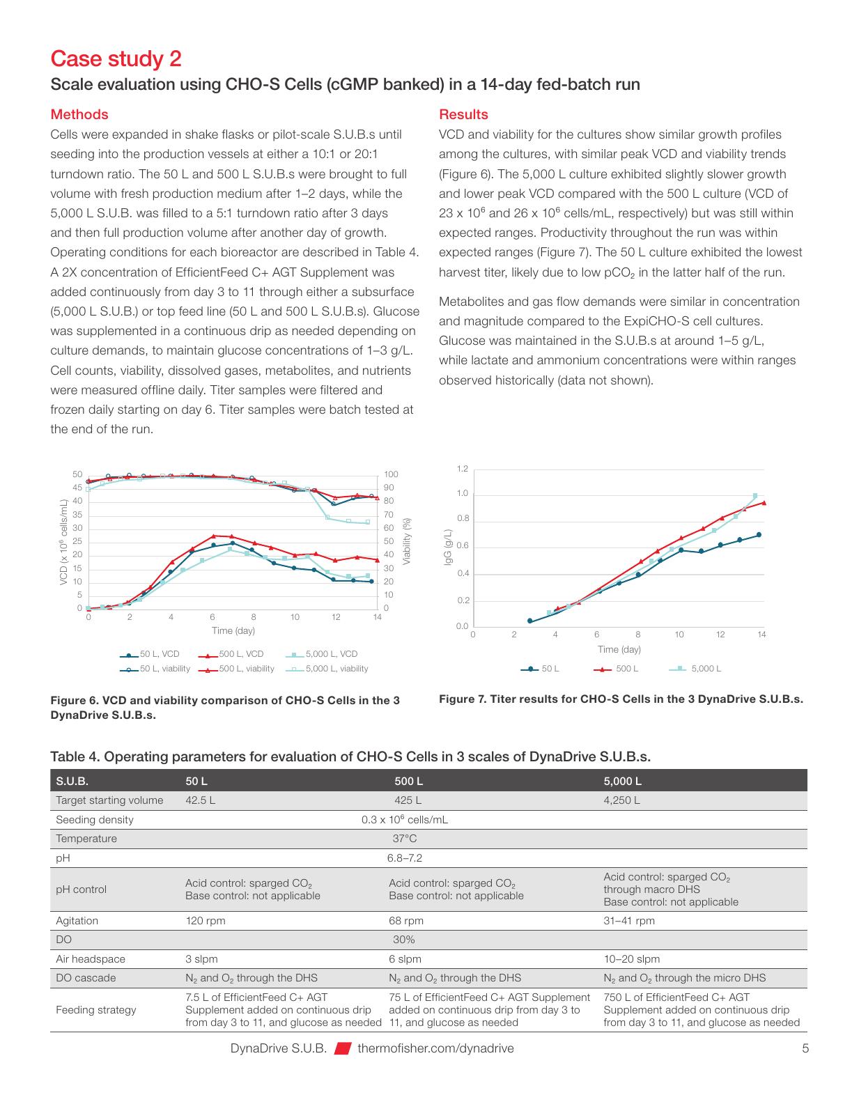 Parametry i wyniki CHO-S w DynaDrive 5000 L